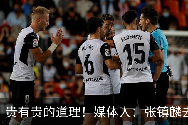 贵有贵的道理！媒体人：张镇麟去年加盟上海转会费投入超5000万